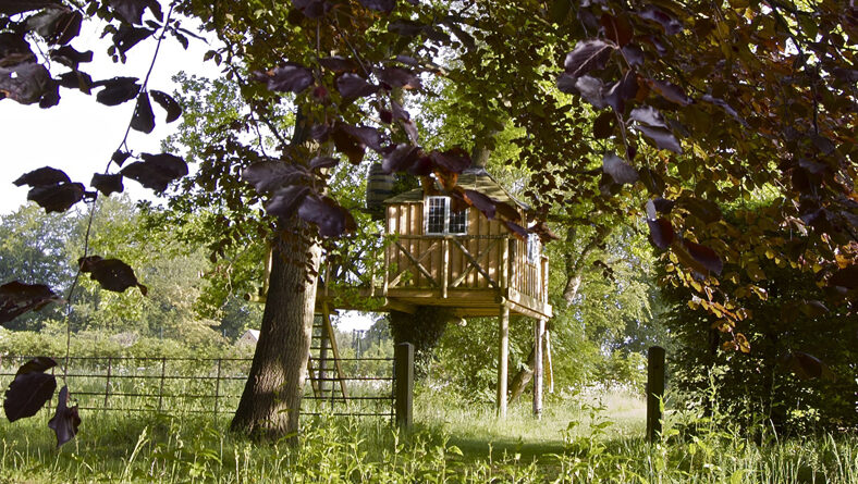 A tree house among mature trees above a wild flower border