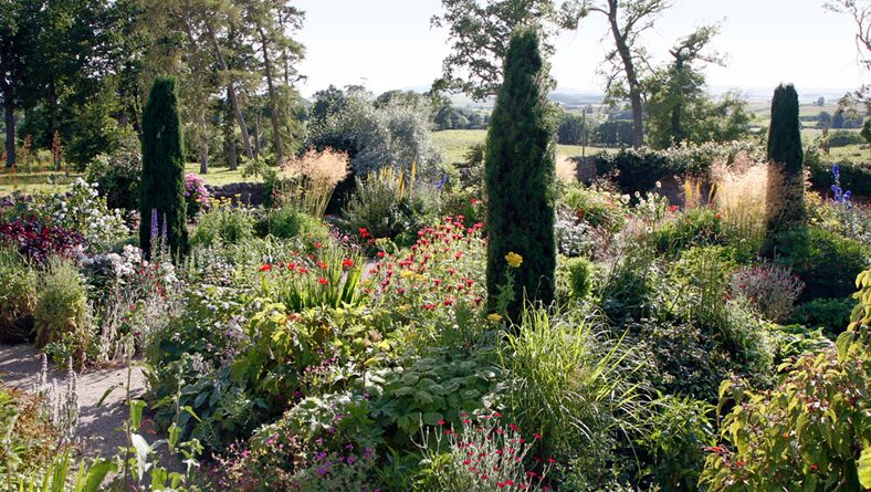 Columnar yews above a deep mixed border with views to farmland