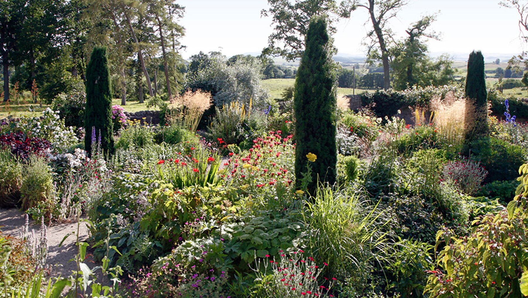 Tall columnar yews rising above a deep mixed border in the countryside