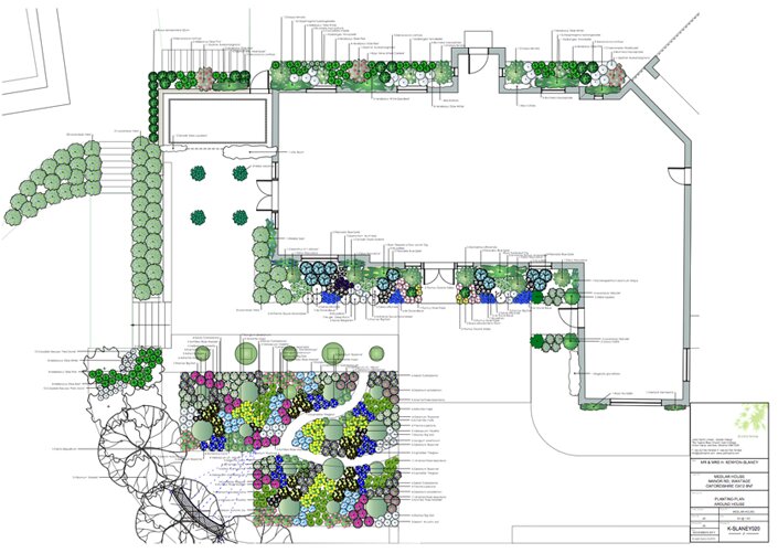 Medlar House: planting plan