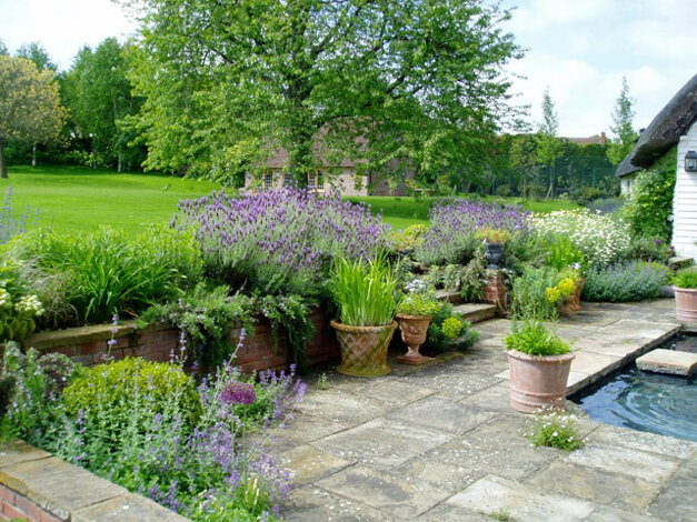 A mature terrace garden in its later years