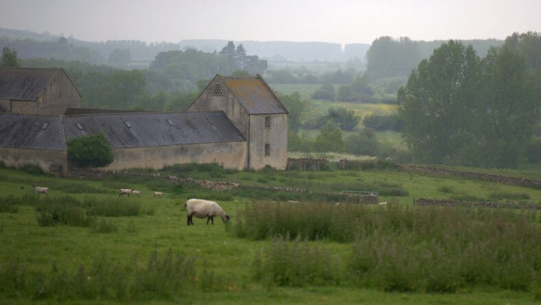 A Cotswold-stone cottage and its garden in the morning mist