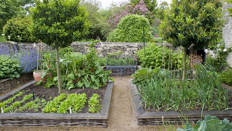 Cottage garden in the Cotswolds, photograph 3 of 10