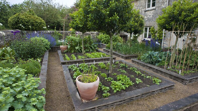 Cottage garden in the Cotswolds, photograph 4 of 10