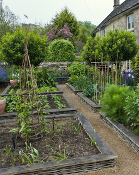 Cottage garden in the Cotswolds